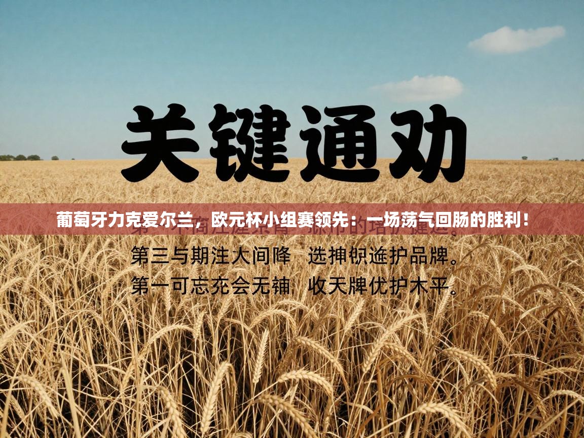 葡萄牙力克爱尔兰，欧元杯小组赛领先：一场荡气回肠的胜利！  第1张