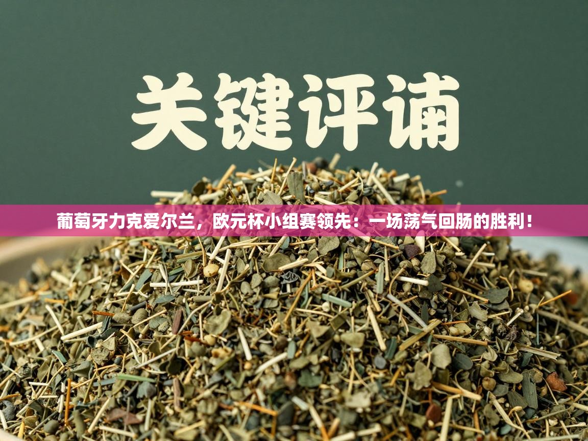 葡萄牙力克爱尔兰，欧元杯小组赛领先：一场荡气回肠的胜利！  第2张