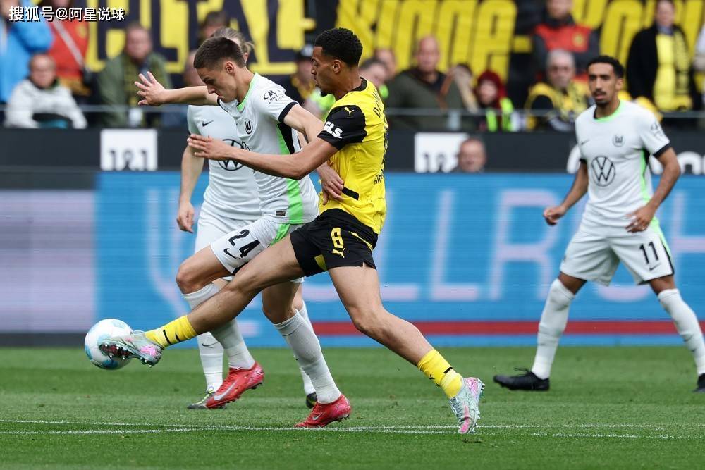 沃尔夫斯堡客场击败霍芬海姆,保持不败 沃尔夫斯堡客场击败霍芬海姆,保持不败