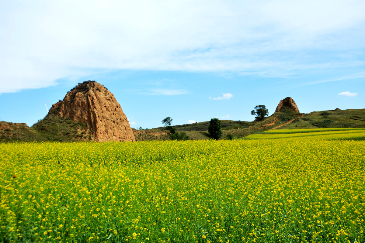 爱游戏官方登录入口-山西左玉不畏艰难，激战江苏苏宁的简单介绍